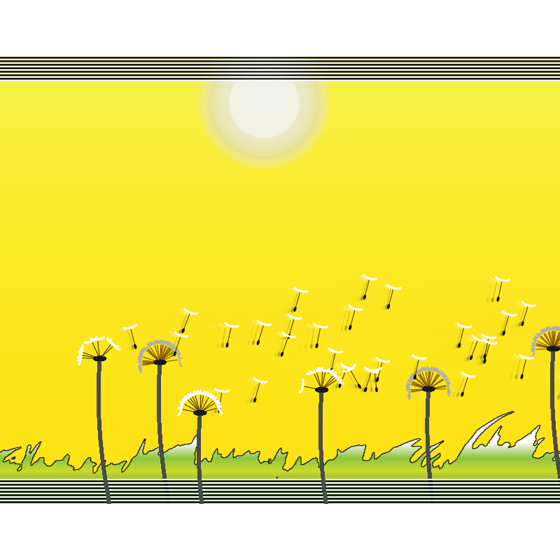 Dandelion Field #11