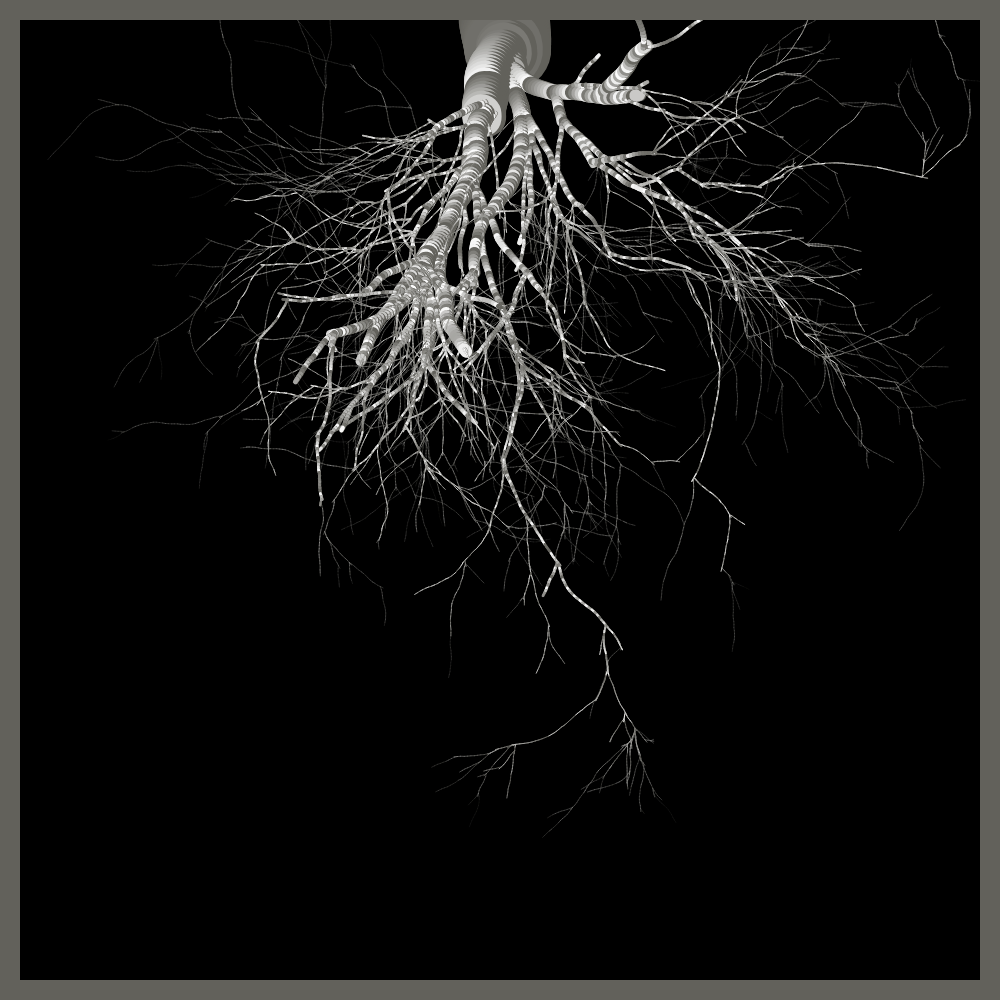 Arbres suspendus #221