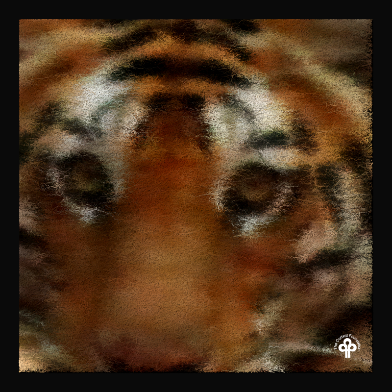 (re)generative tigers #23