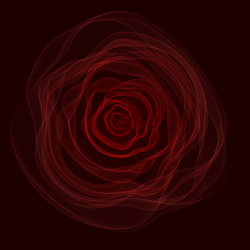 Roses #7