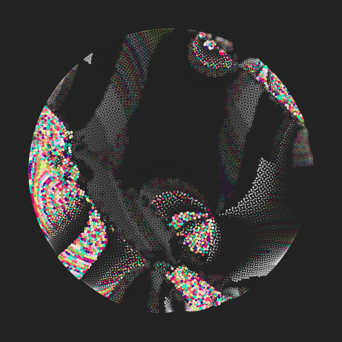 Still C #25741