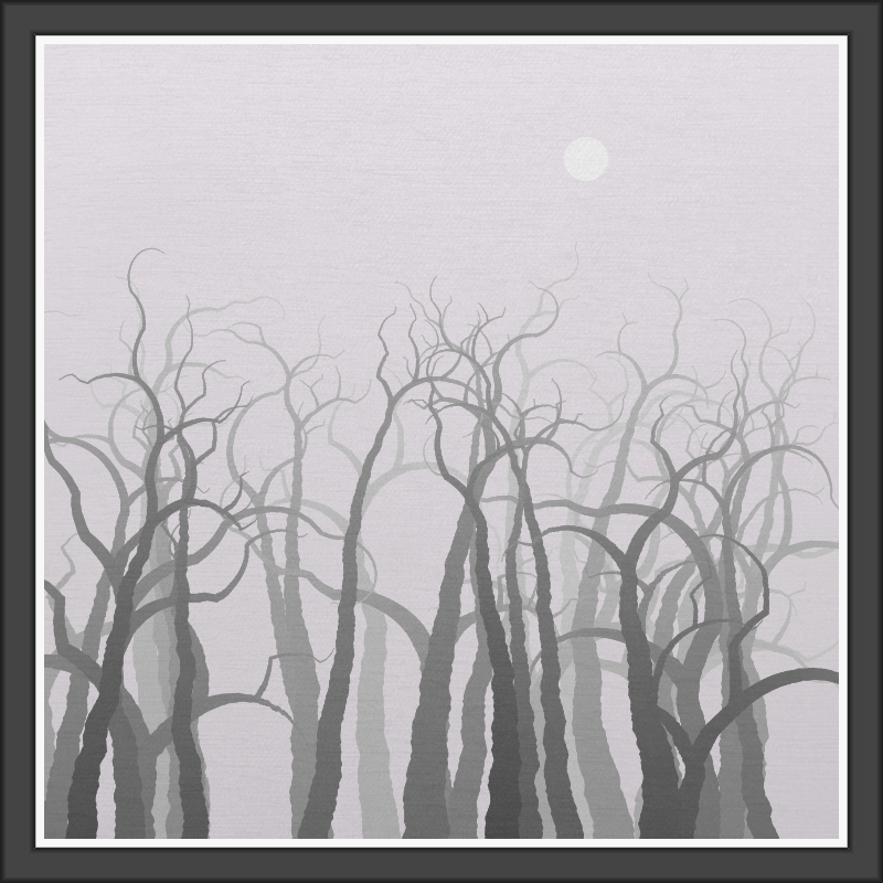 The Foggy Trees #117