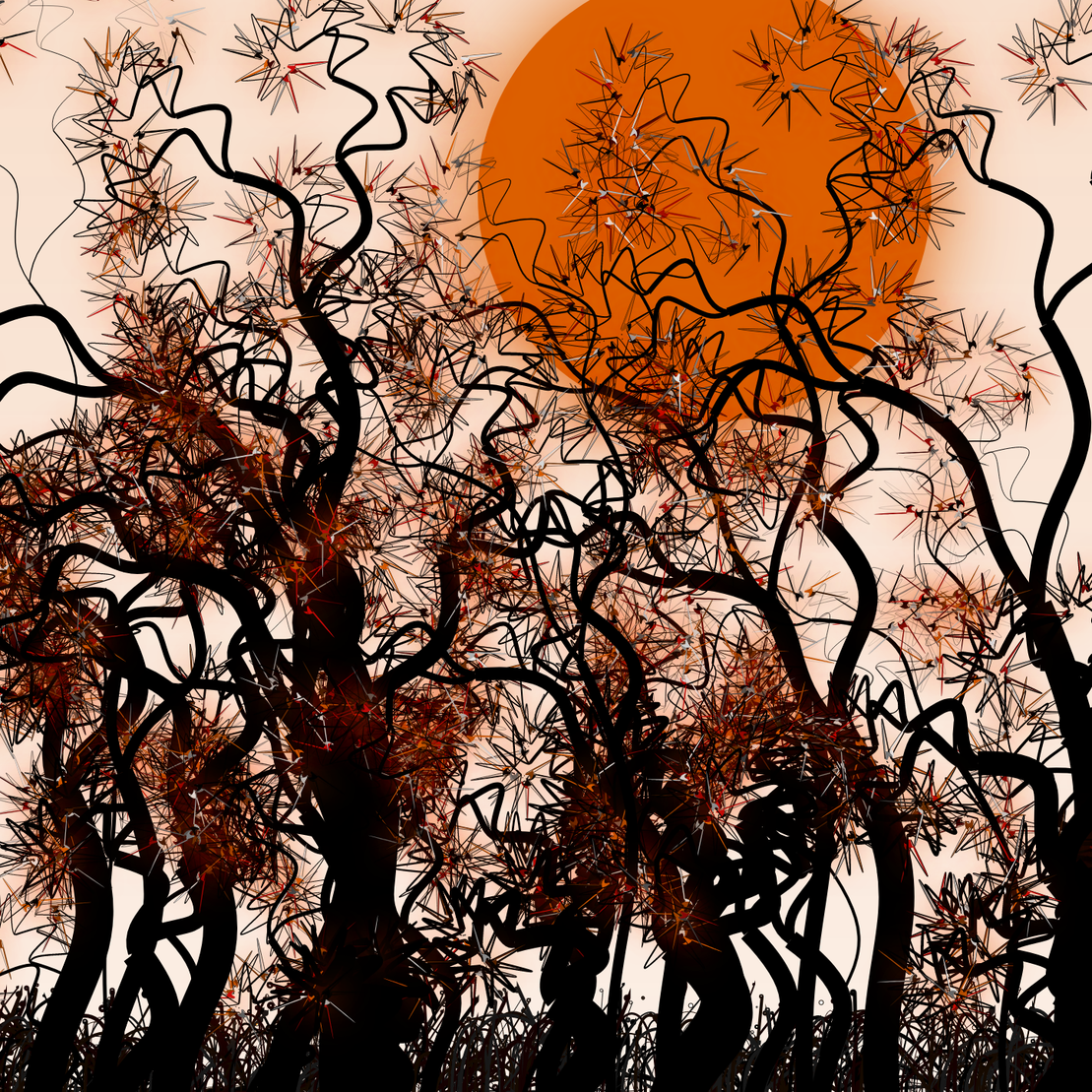 Wildwood Forest #243
