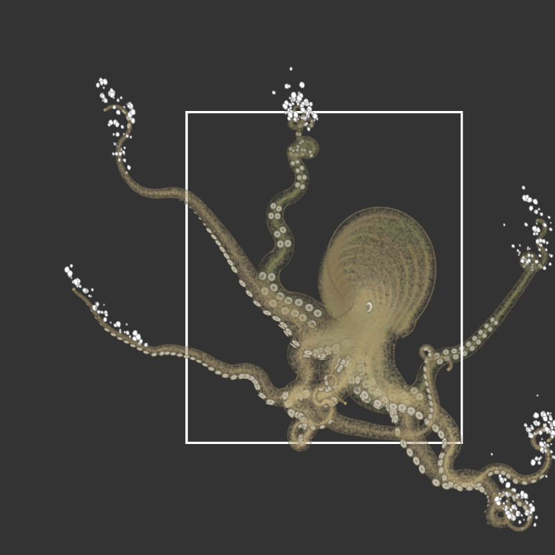 the generative octopuses #98