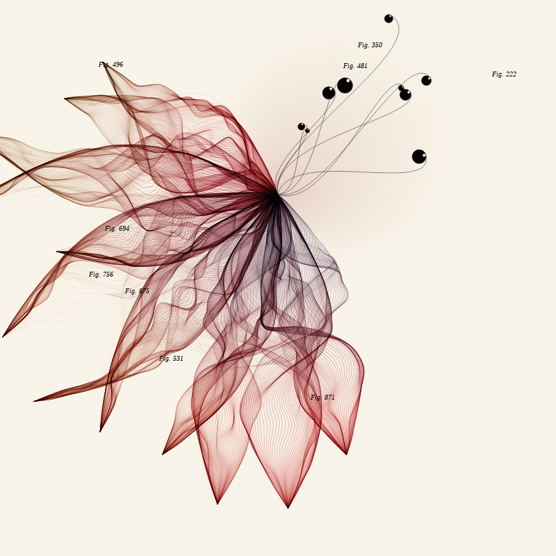 Herbarium #576