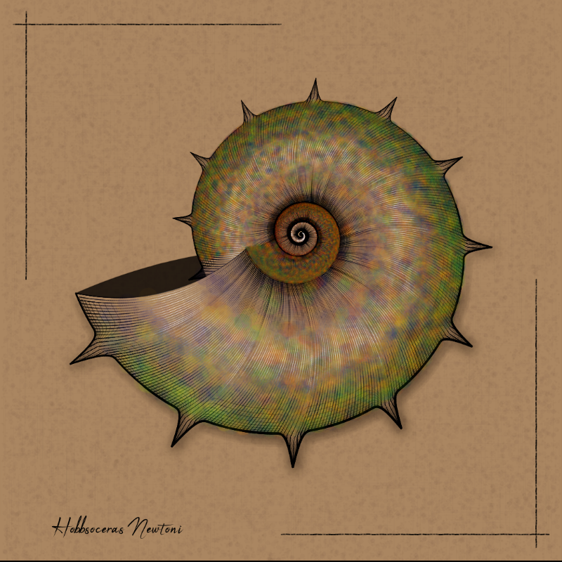 Ammonites #102