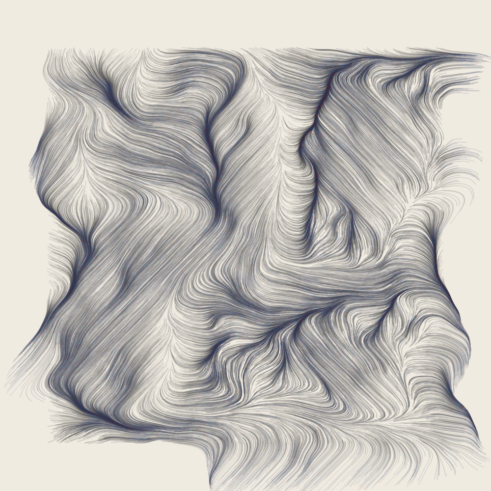 Topographic Abstraction #2