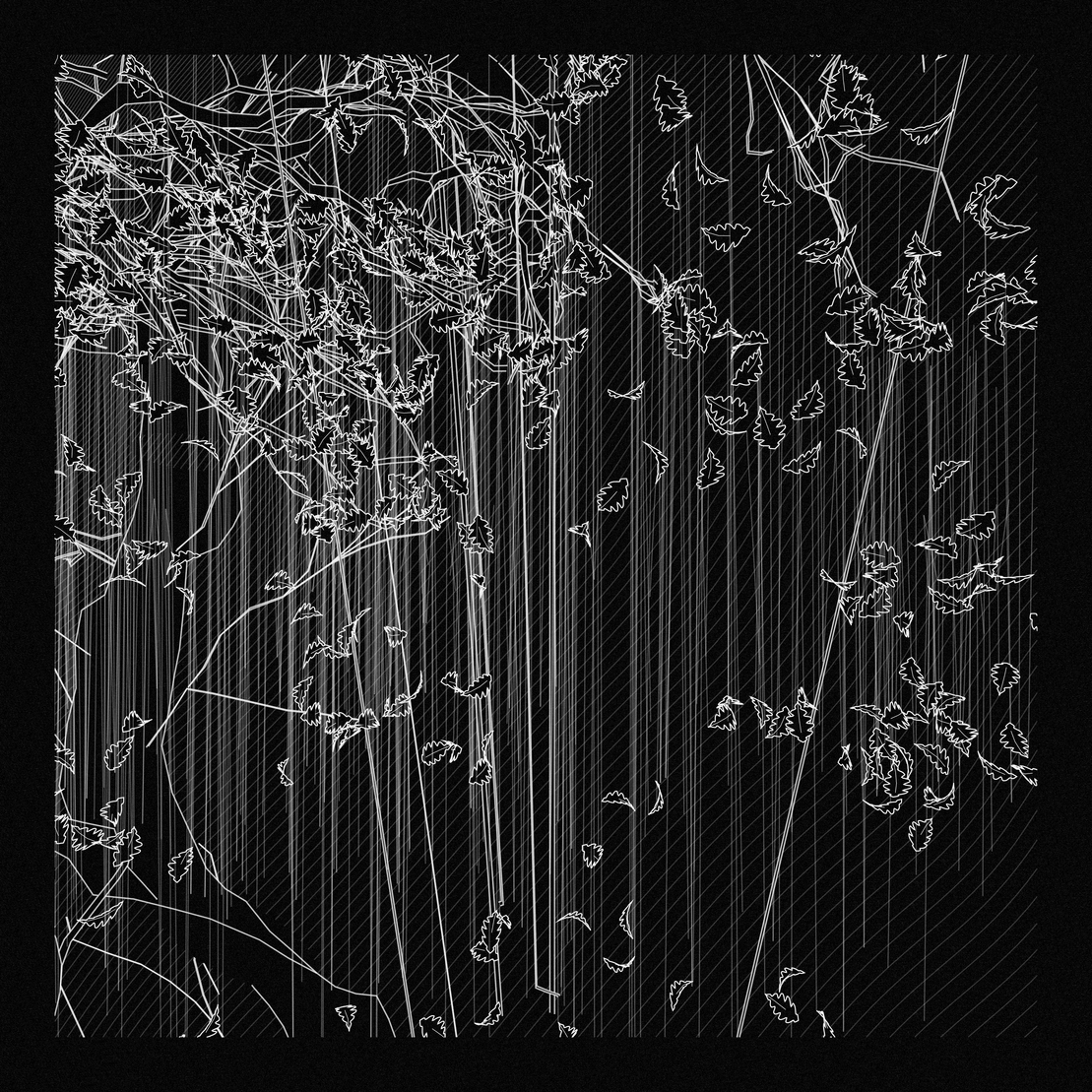 A Bugged Forest #80