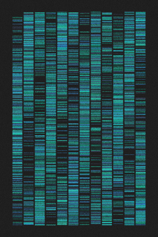 Sequence #164