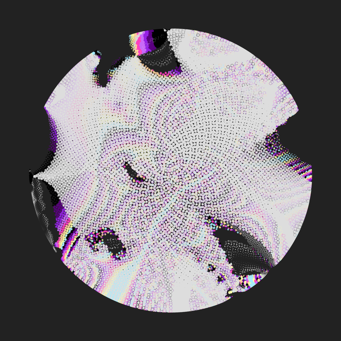 Still C #319