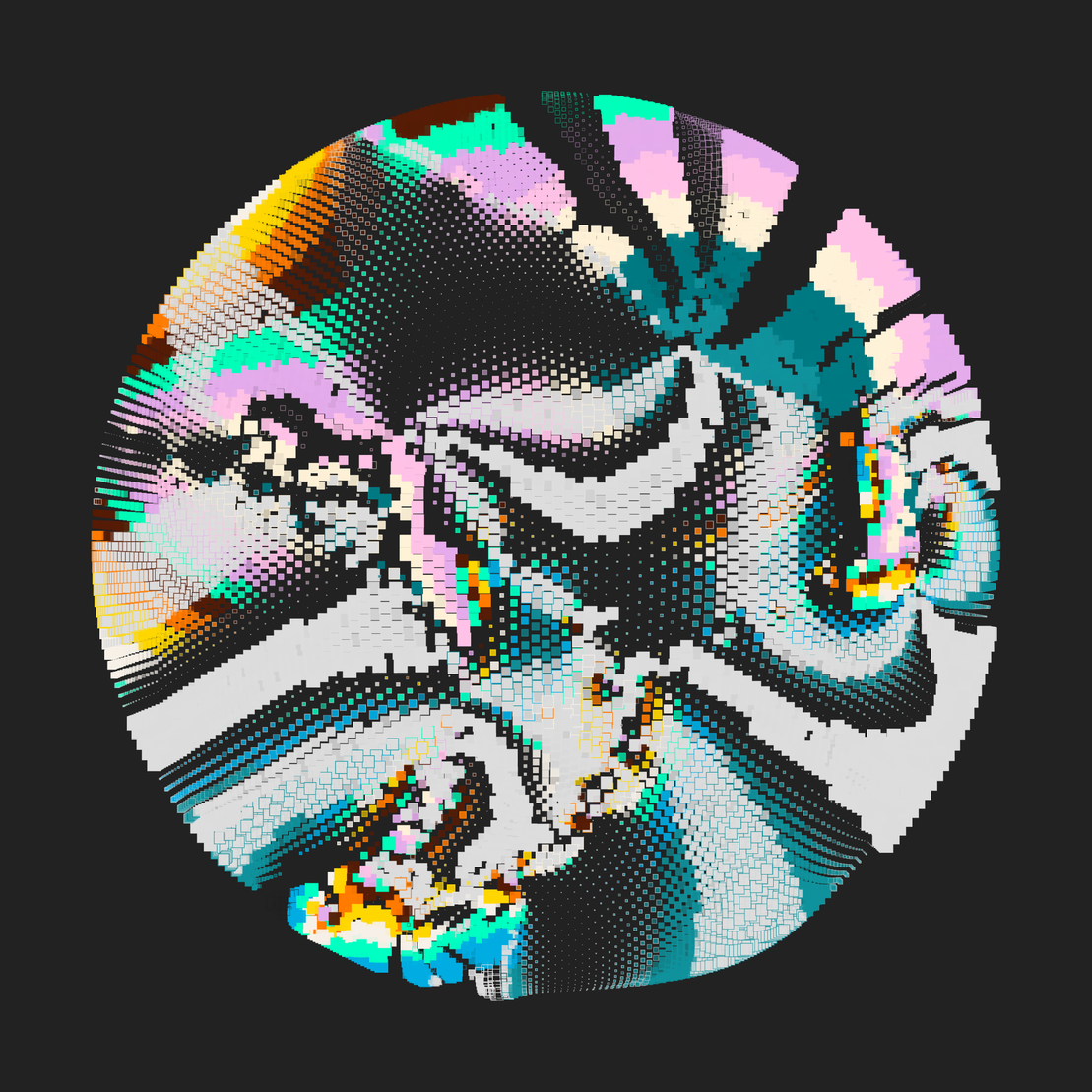 Still C #26191