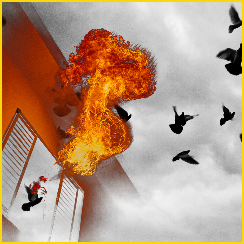 Free to burn #45