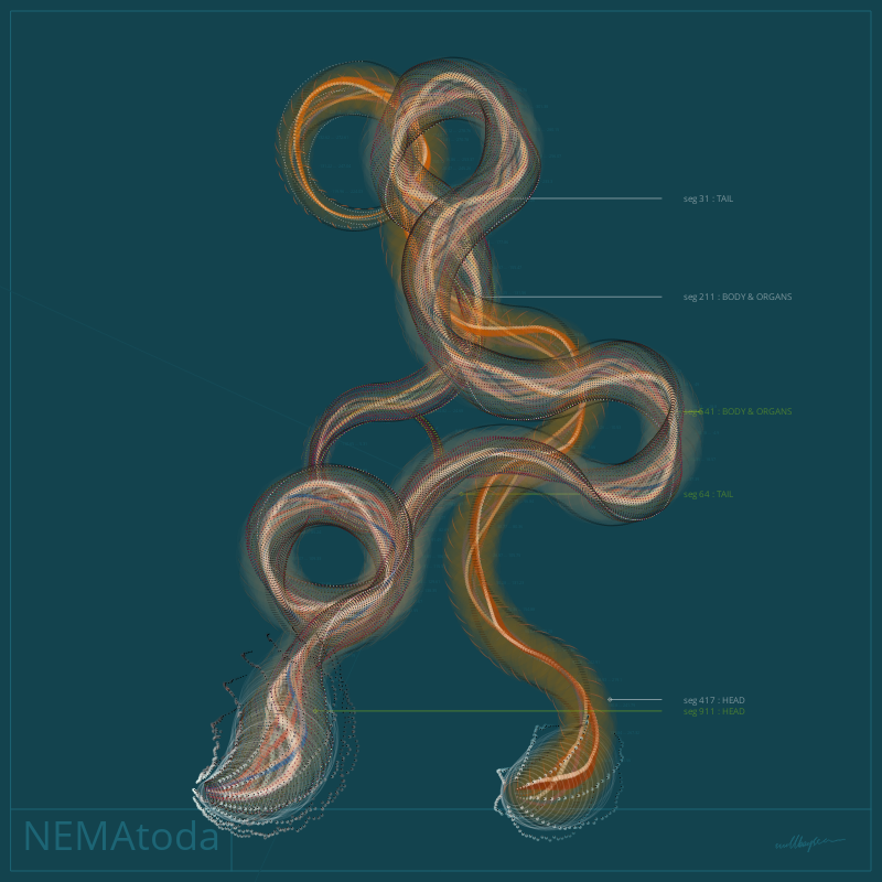 NEMA #84