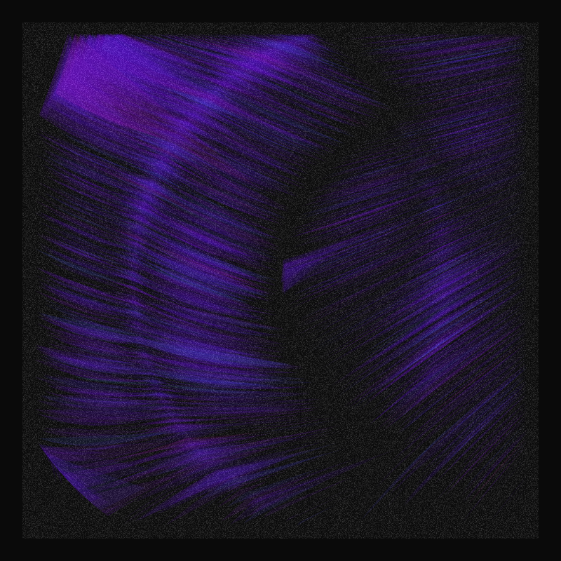 Velum #11