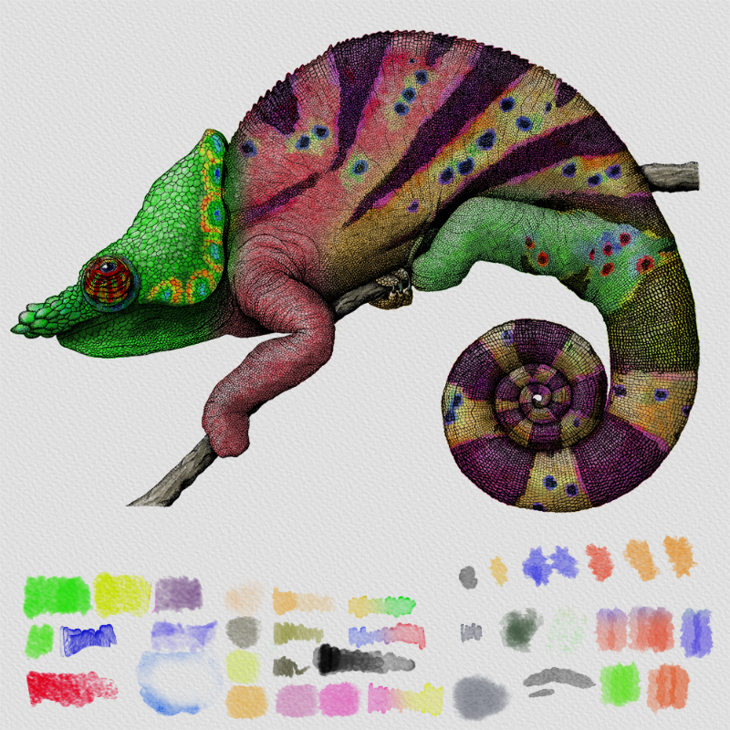 Colorful Cameleon #2