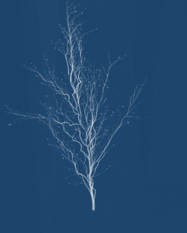 Cyanotypes #115