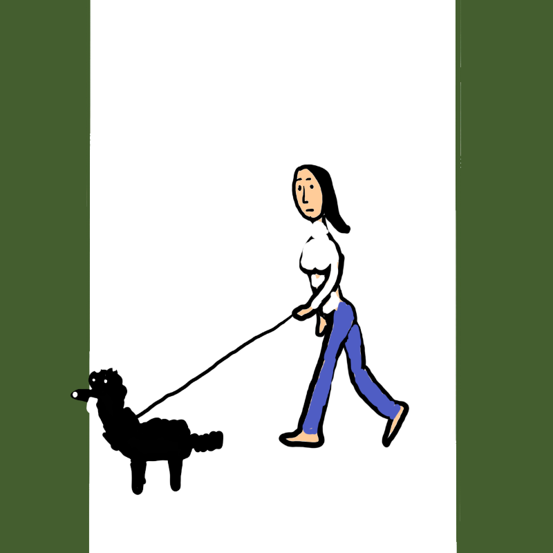 wALKING A DOG #15