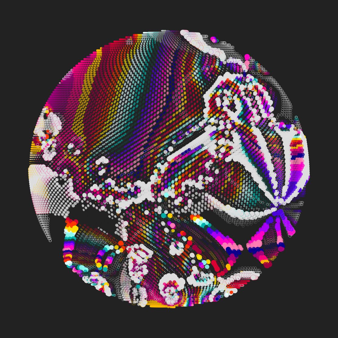 Still C #21175