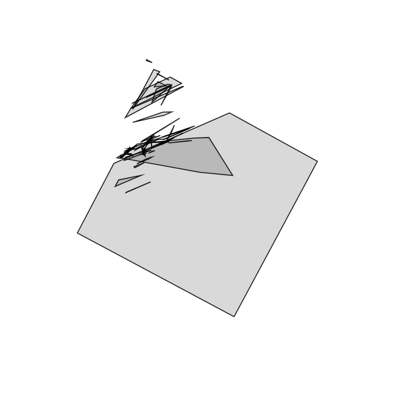 Fracture #156