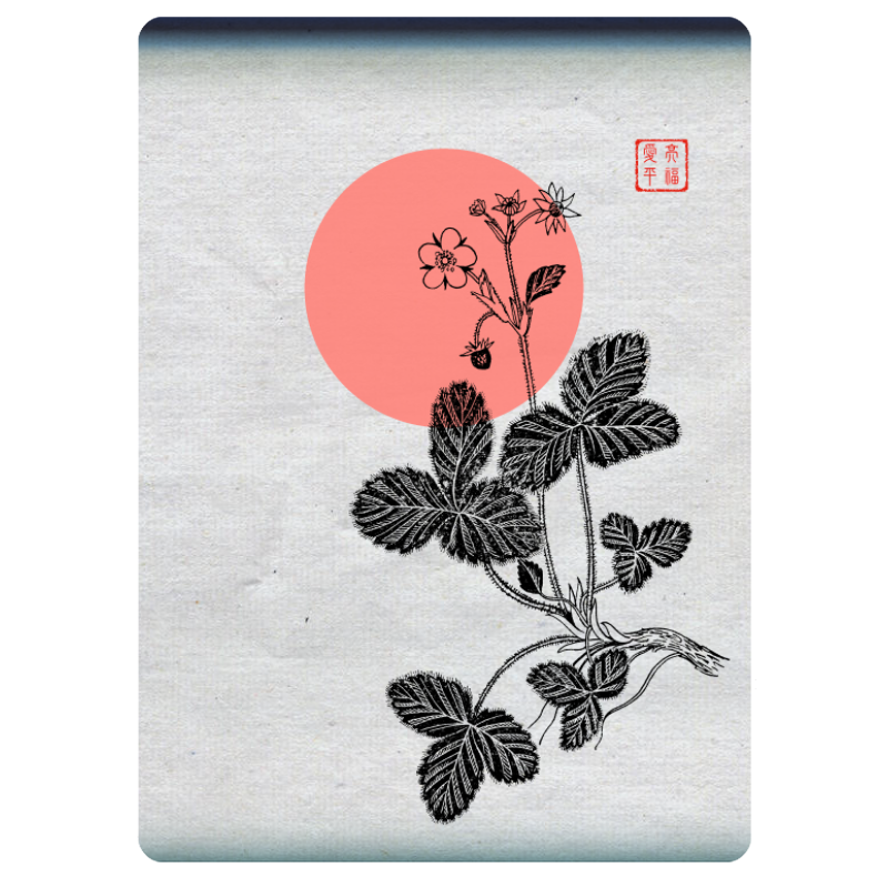 Zen flower card  #34