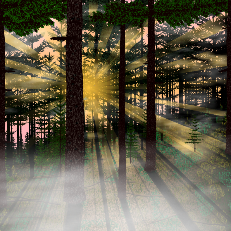 Forest Sunrise #45