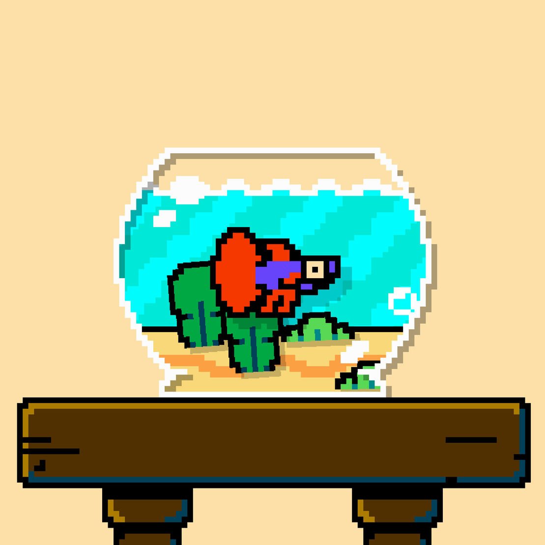 betta fish #552