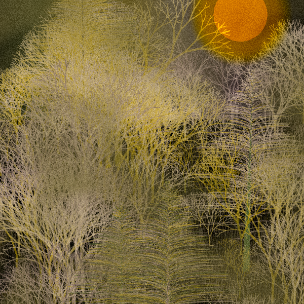 Moonlit Native Bush #112