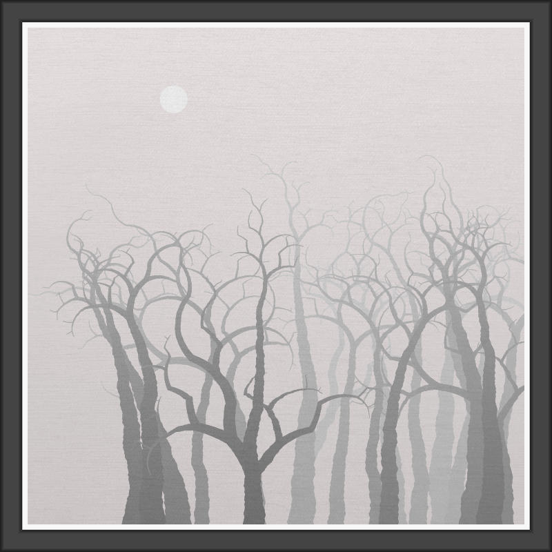 The Foggy Trees #46