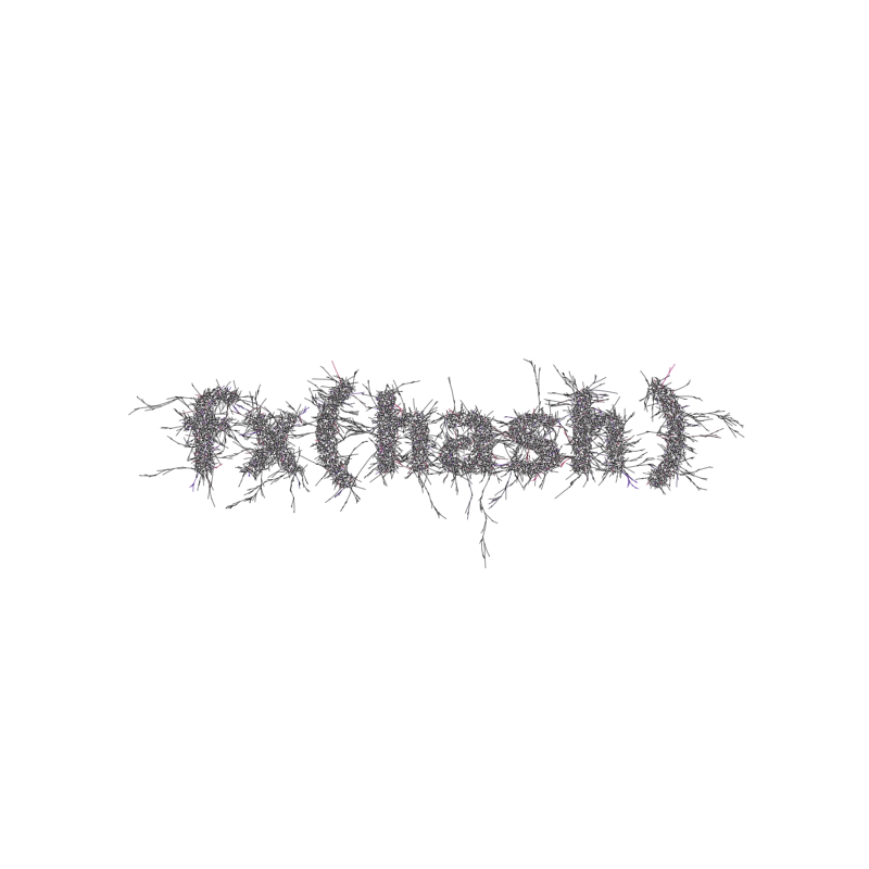 FXHASH Logo with Features #618