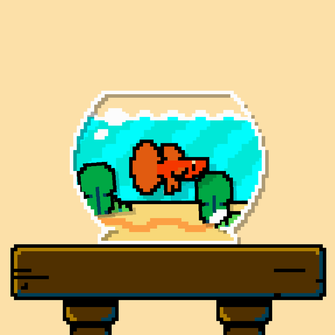 betta fish #589