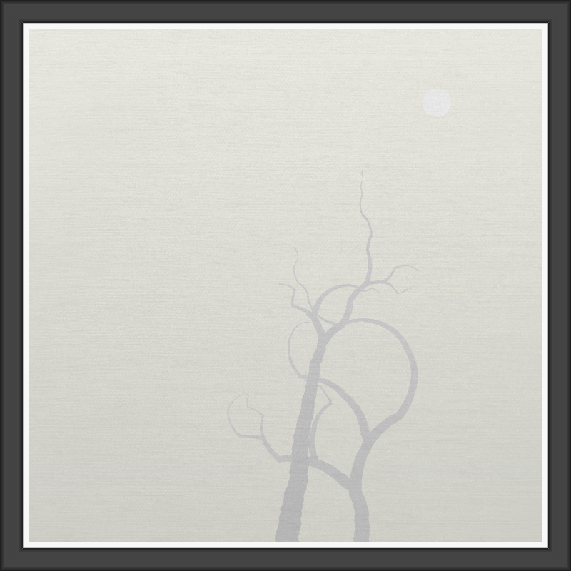 The Foggy Trees #144