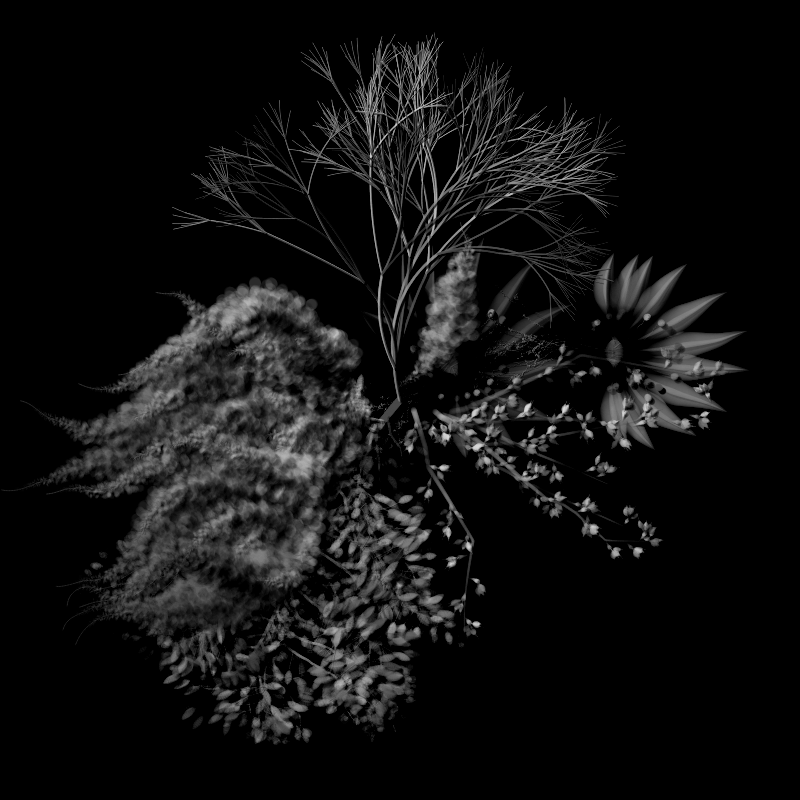 Botanical Ghosts #67