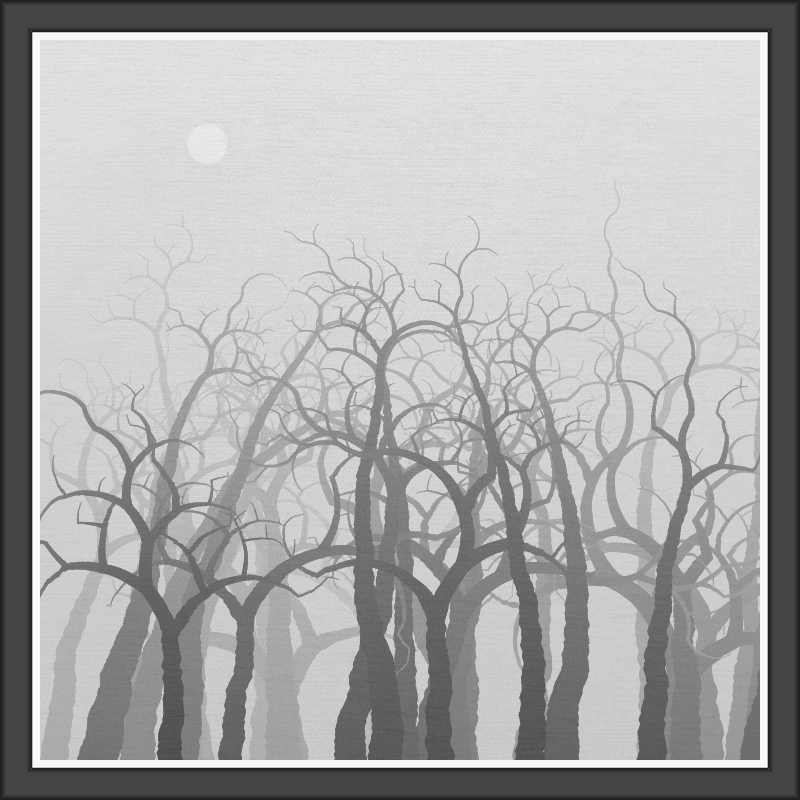 The Foggy Trees #137