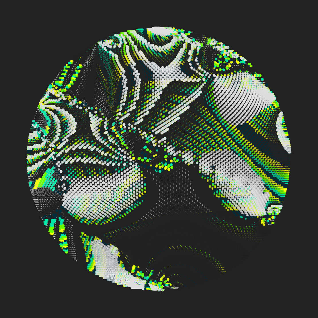 Still C #23533