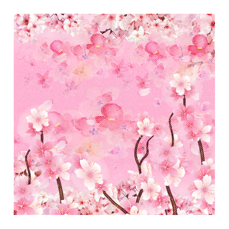 Sakura 桜 #11