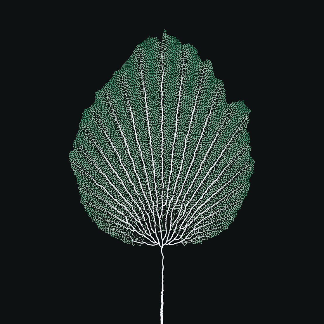 Leaf study #32