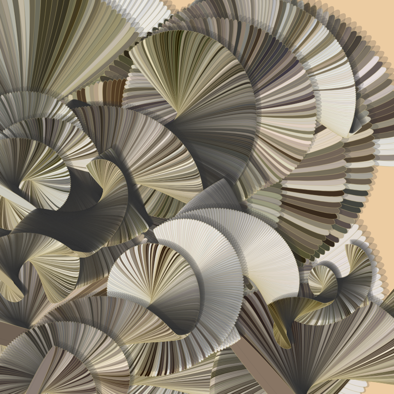 Seashells #39