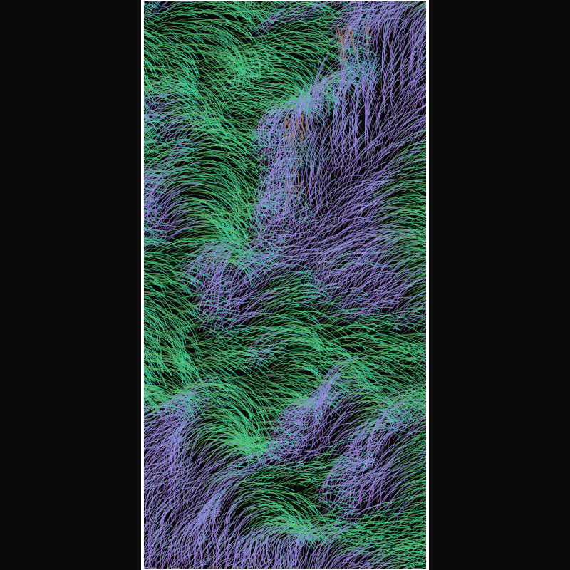 Tamed Quantum Foam #49