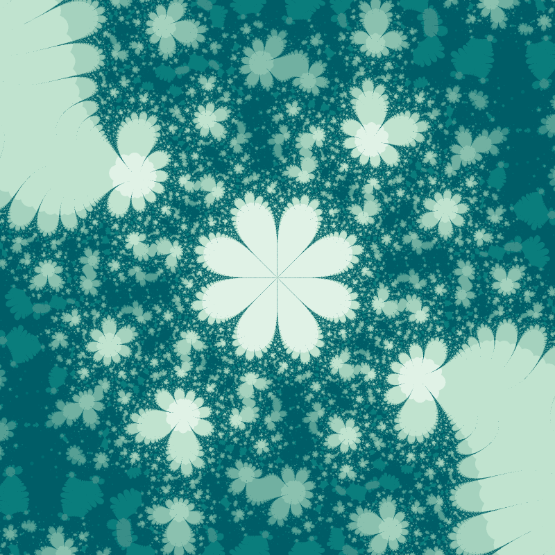 Morphology #79
