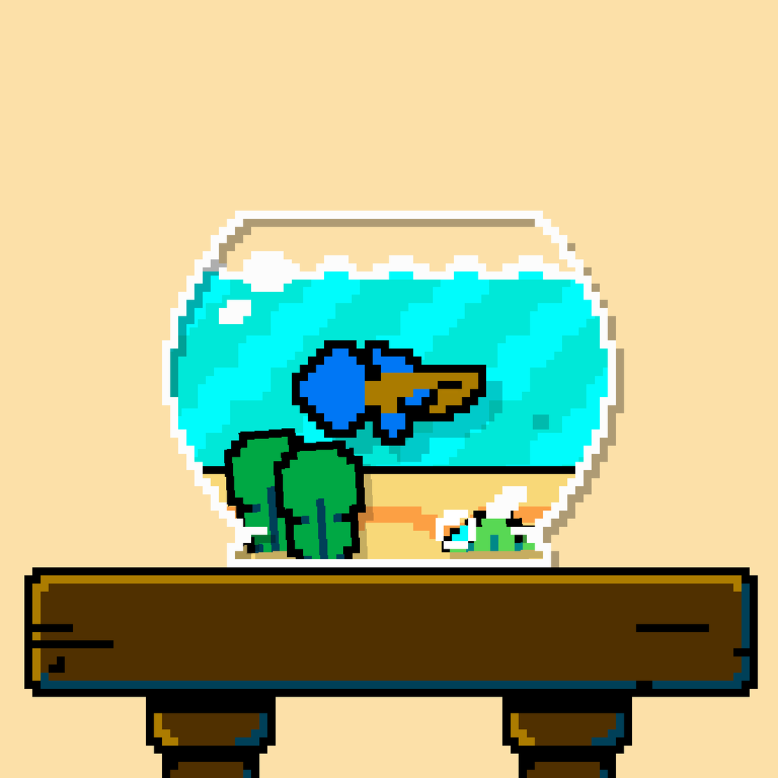 betta fish #246