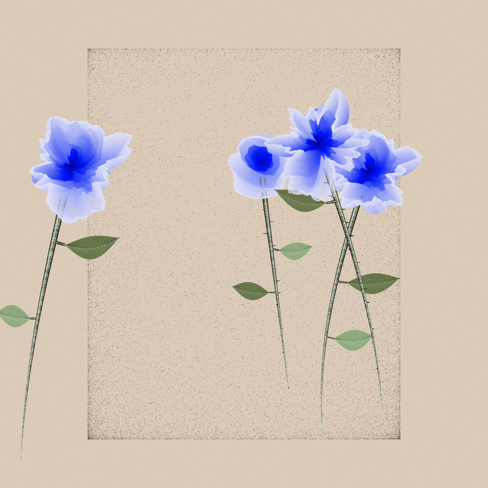 Magnolia #26