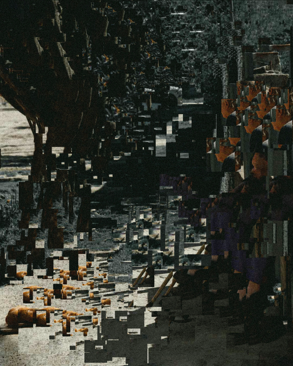 1888 - Glitch #21