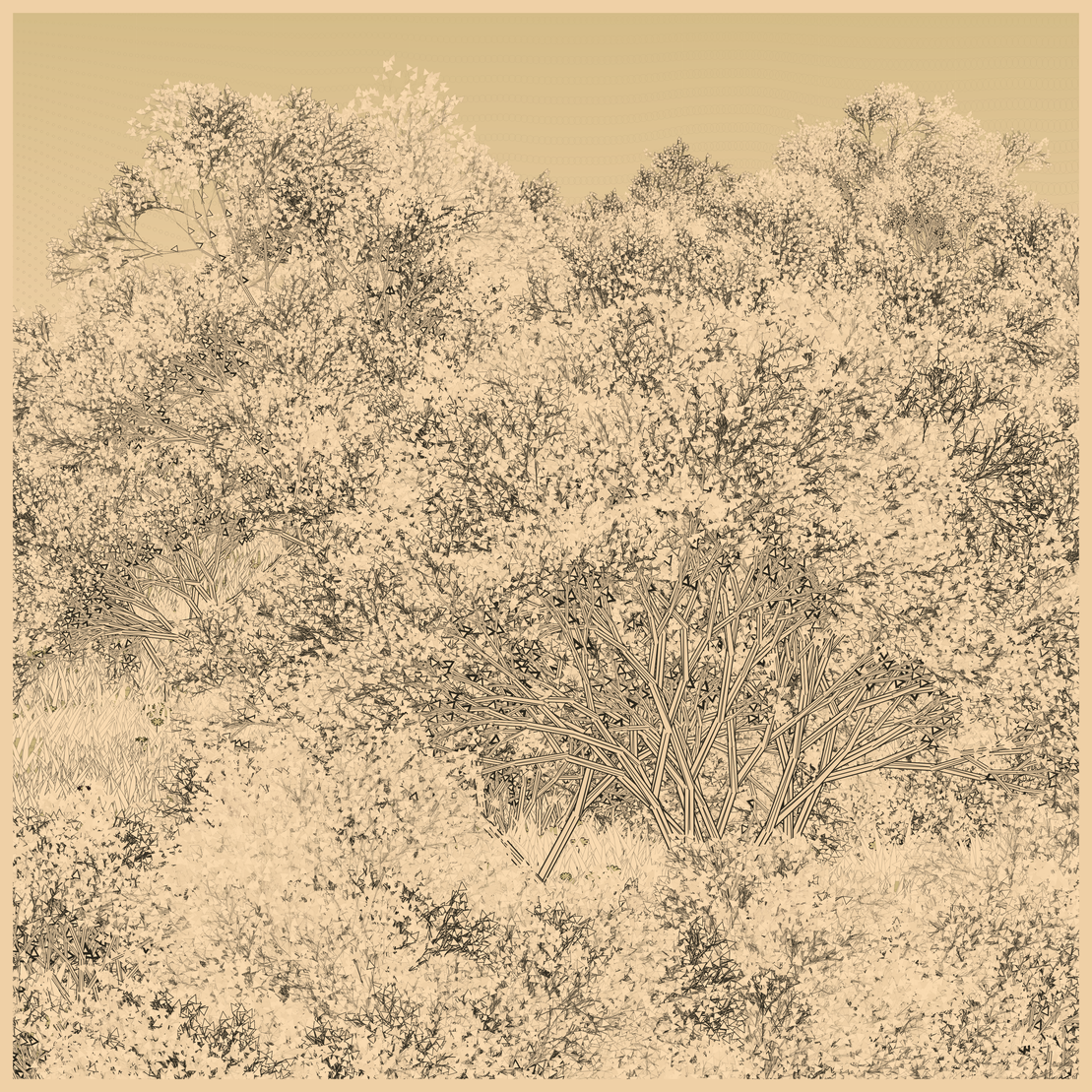 Natural order.chaos #194