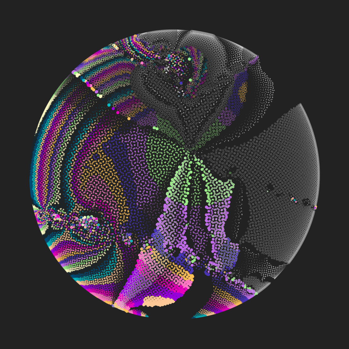 Still C #26989