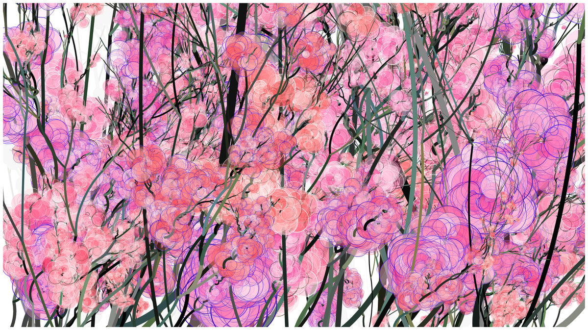 CODE-BLOSSOM #77