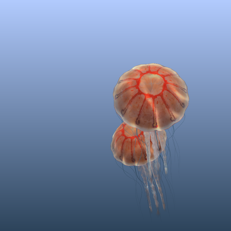 Jellyfish #60