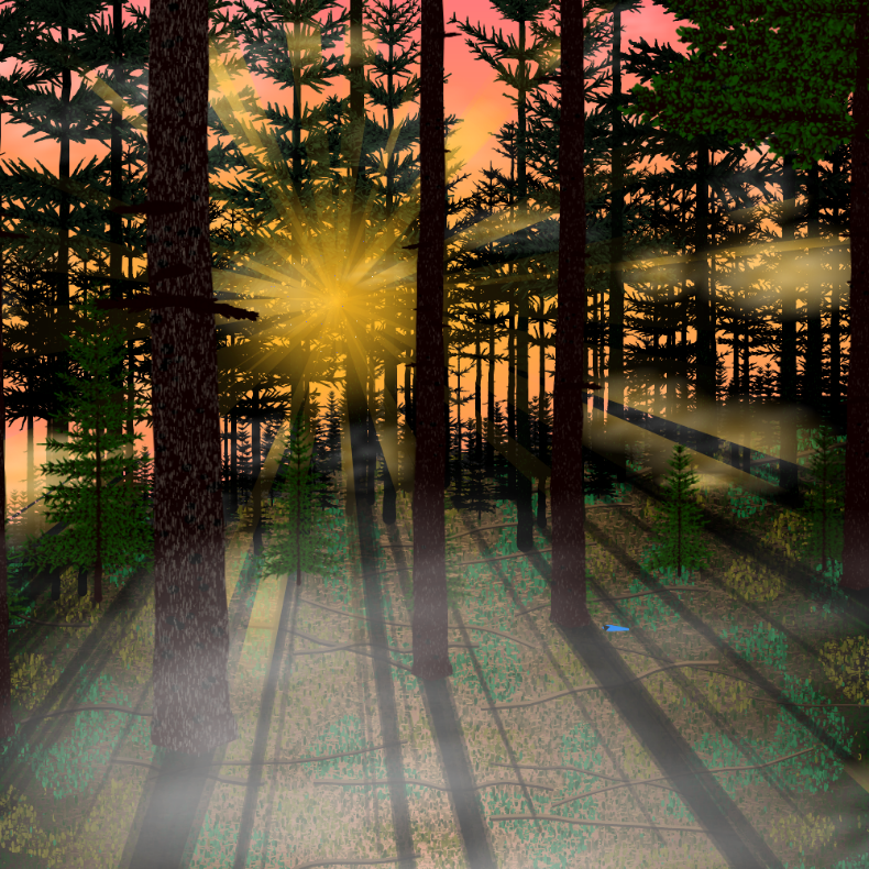 Forest Sunrise #32