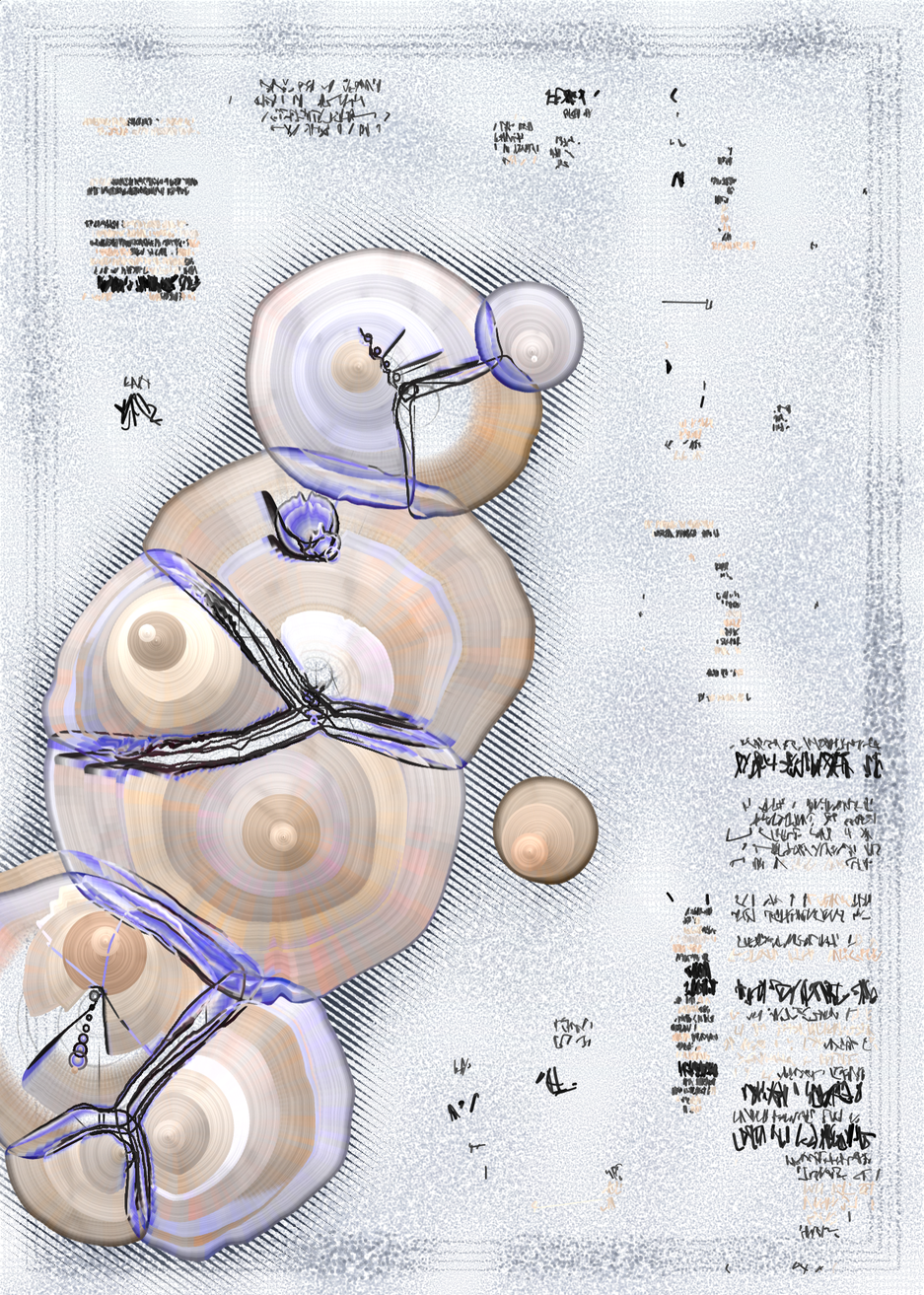 n Forms #13