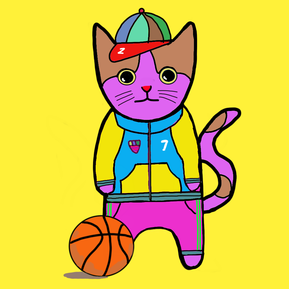 Sports cat #9