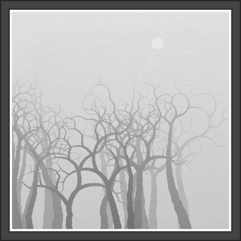 The Foggy Trees #35